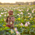 Secure Your Future with Health and Term Life Insurance in San Antonio
